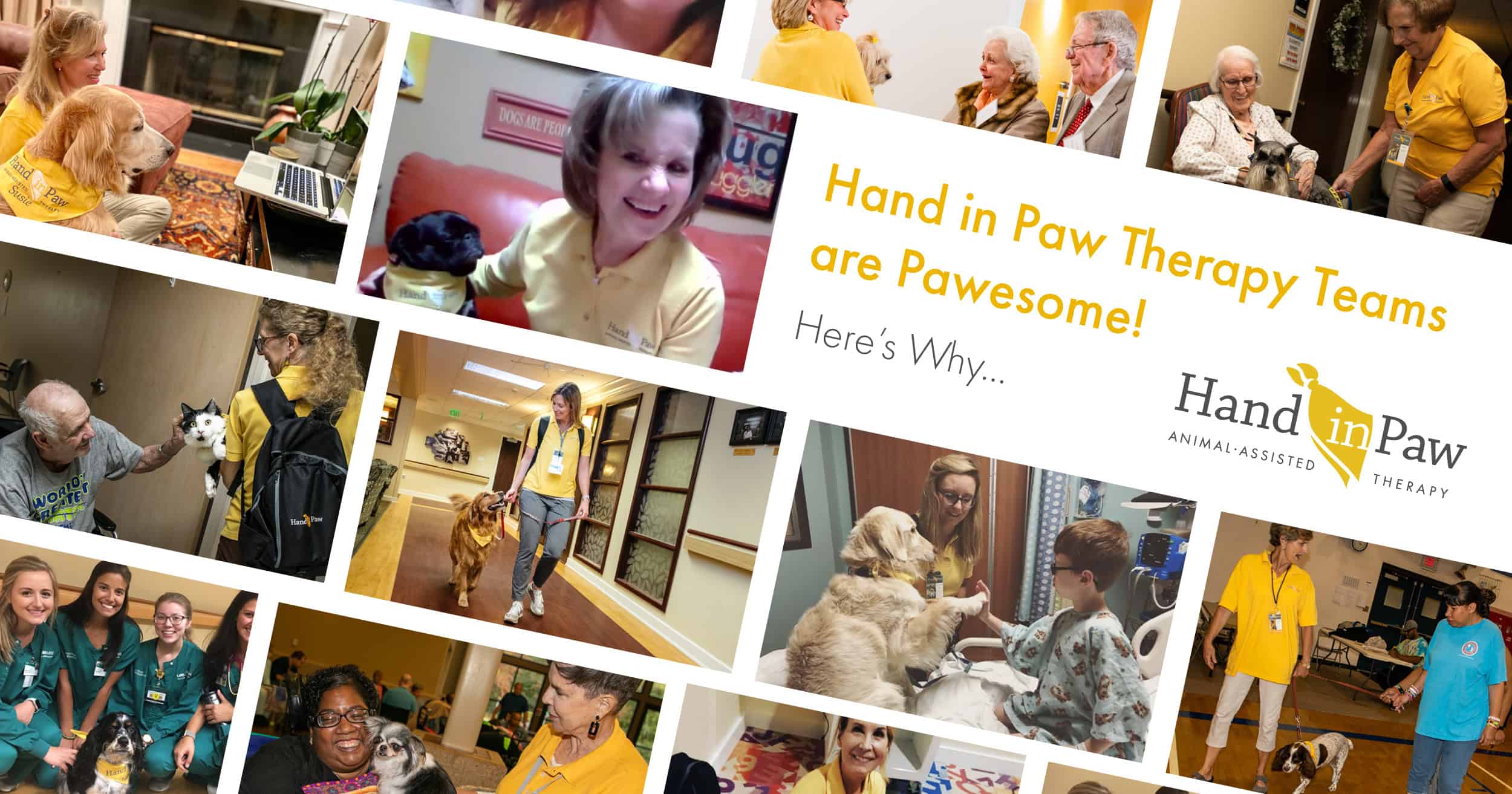 Collage of Hand in Paw volunteer therapy teams and their animal-assisted visits in care and community settings.