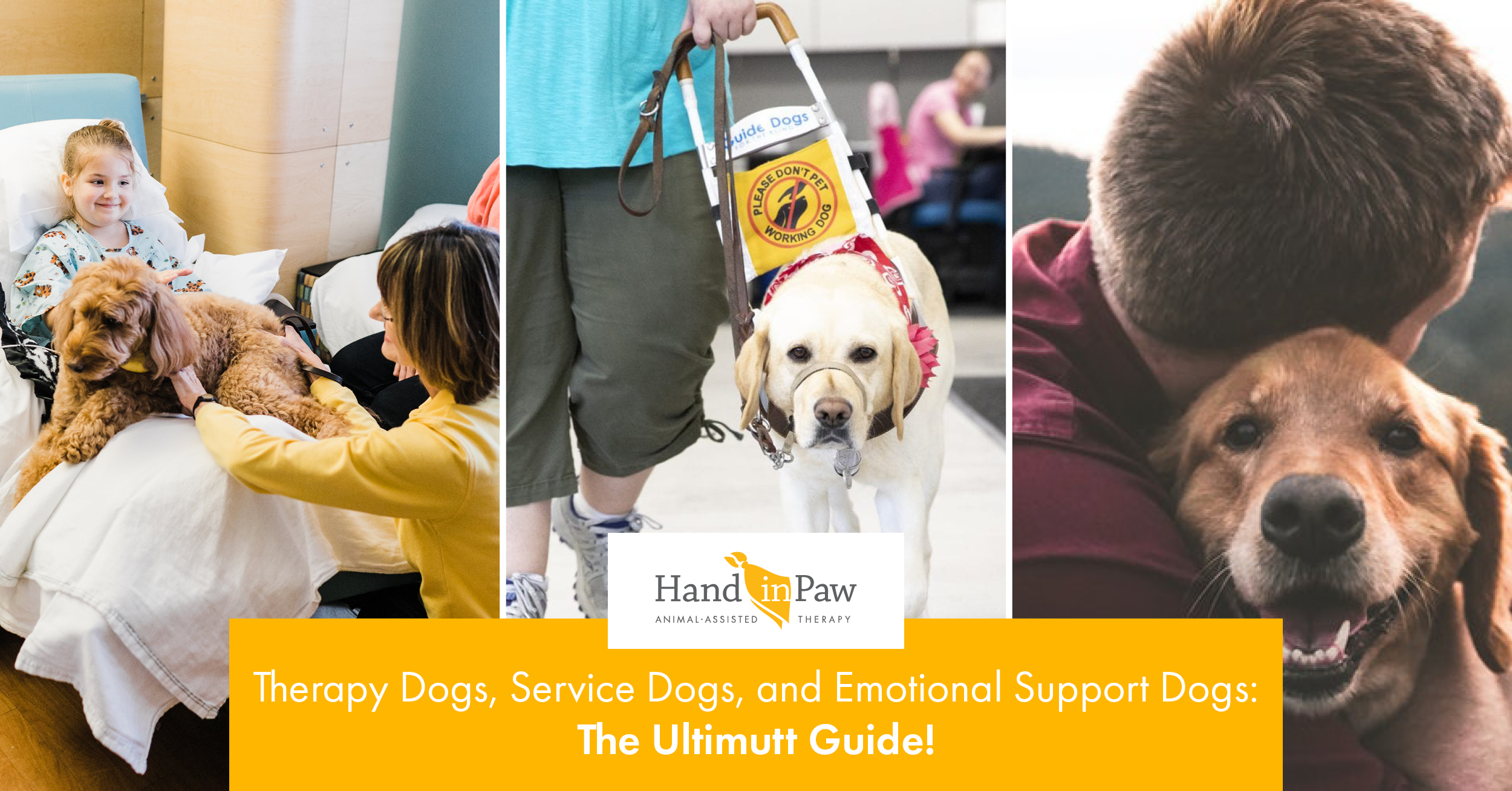 are emotional support dogs real