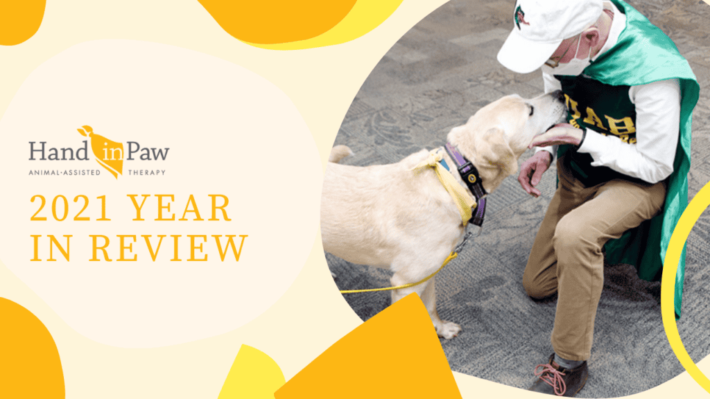 Hand in Paw 2021 Year in Review cover featuring a therapy dog greeting a person