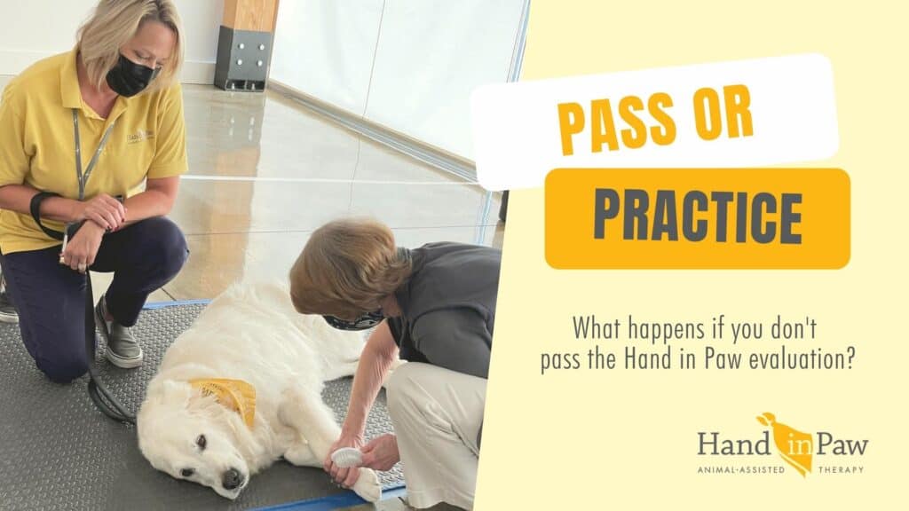 Hand in Paw volunteers practice with a therapy dog for the Pass or Practice evaluation.