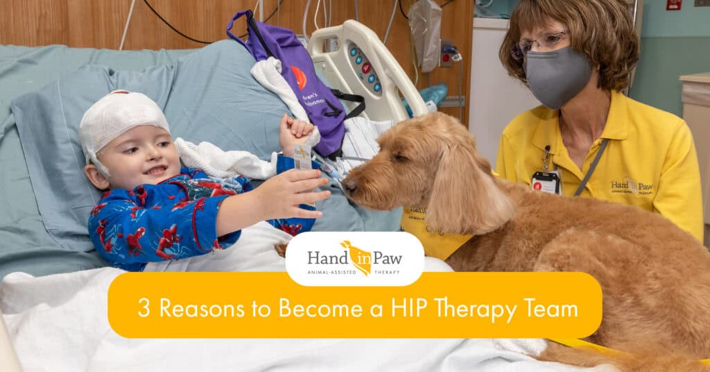 Therapy dog visiting a child in a hospital room with a Hand in Paw volunteer