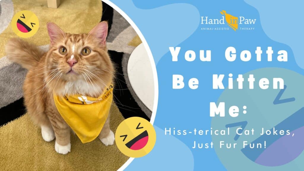 Cat wearing a yellow bandana beside the title “You Gotta Be Kitten Me: Hiss-terical Cat Jokes.”