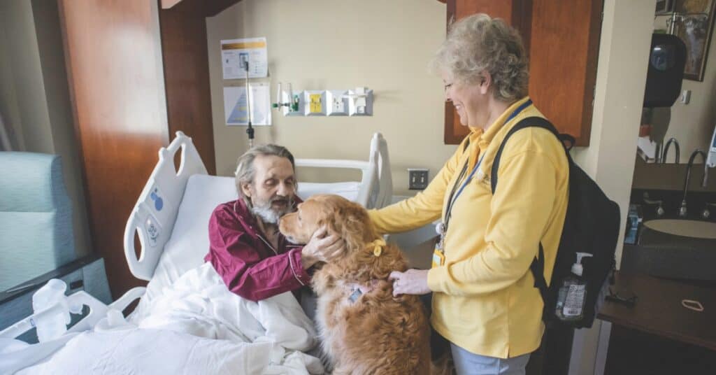 Therapy dog visits a hospitalized senior with a Hand in Paw volunteer.