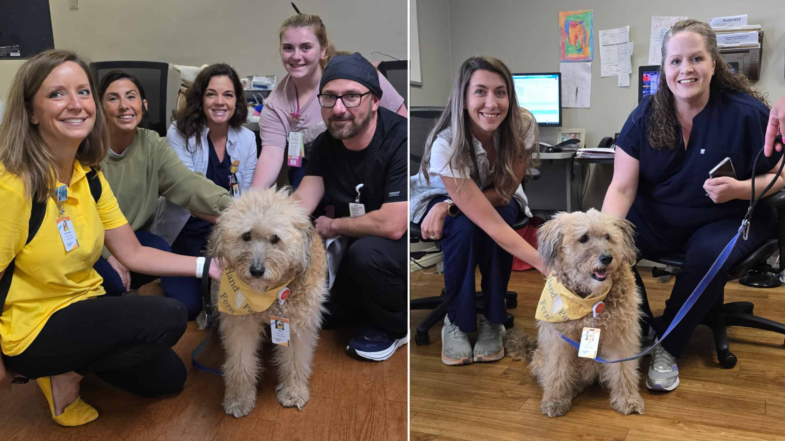 Hand in Paw Therapy Team Stephanie and Fern visiting staff at Baptist Health - Princeton Hospital.