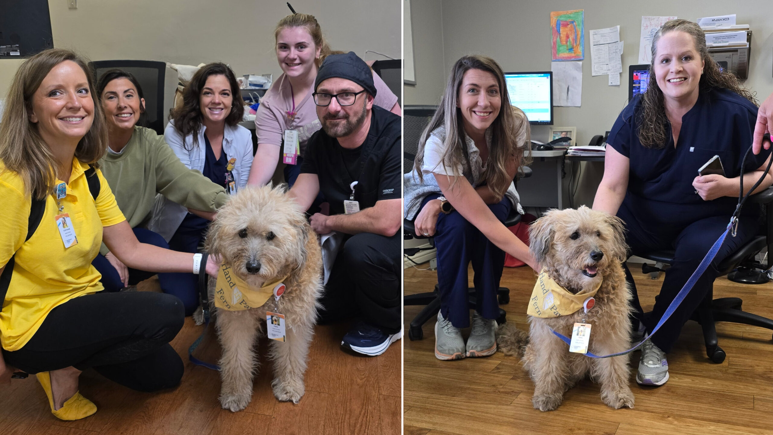 Hand in Paw Therapy Team Stephanie and Fern visiting staff at Baptist Health - Princeton Hospital.