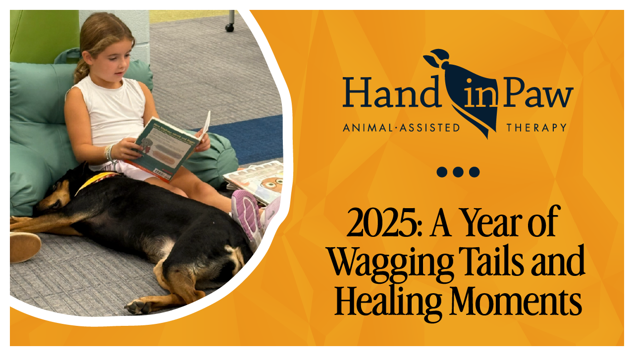 A child reads a book while resting beside a calm therapy dog during a Hand in Paw Animal-Assisted Therapy visit, featured in a 2025 Year in Review graphic celebrating healing moments, connection, and the impact of Hand in Paw’s Therapy Teams.