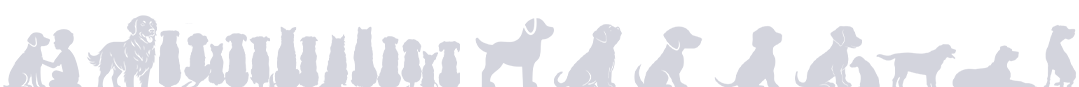 Hand in Paw » Check Us Out - Hand in Paw