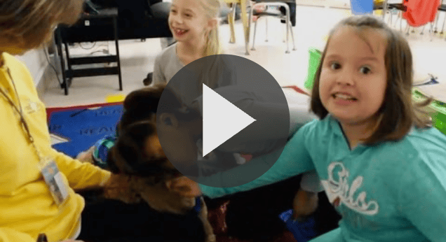 Petscription for the Classroom
