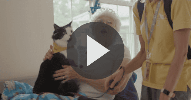 Hand in Paw Nursing Home Visits ft. Phantom the Therapy Cat