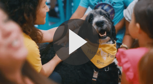 Reo the Therapy Dog Visits Oak Mountain Elementary School