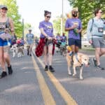 Mutt Strut 2026 - Hand in Paw