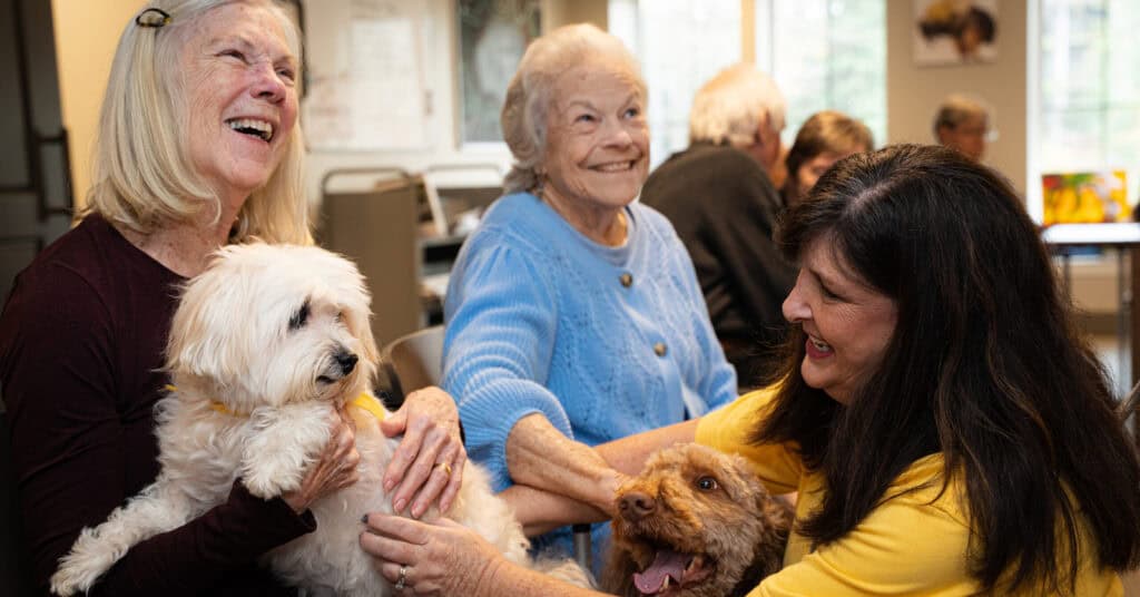 Older adults share joyful companionship with therapy dogs in a care community.