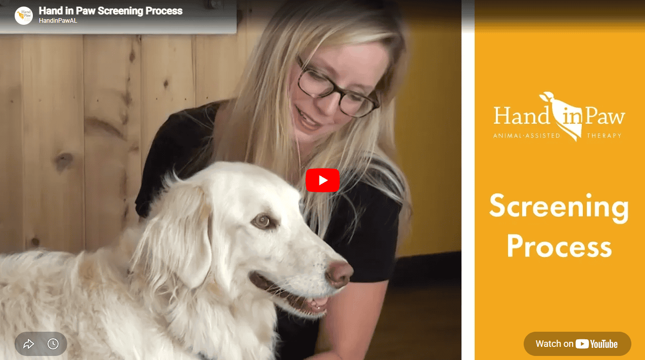 Hand in Paw YouTube