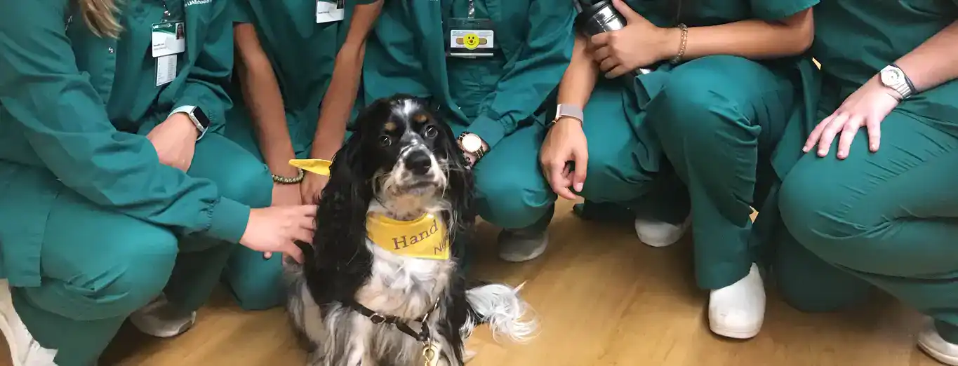 Wags-for-Wellness_Nigel-UAB