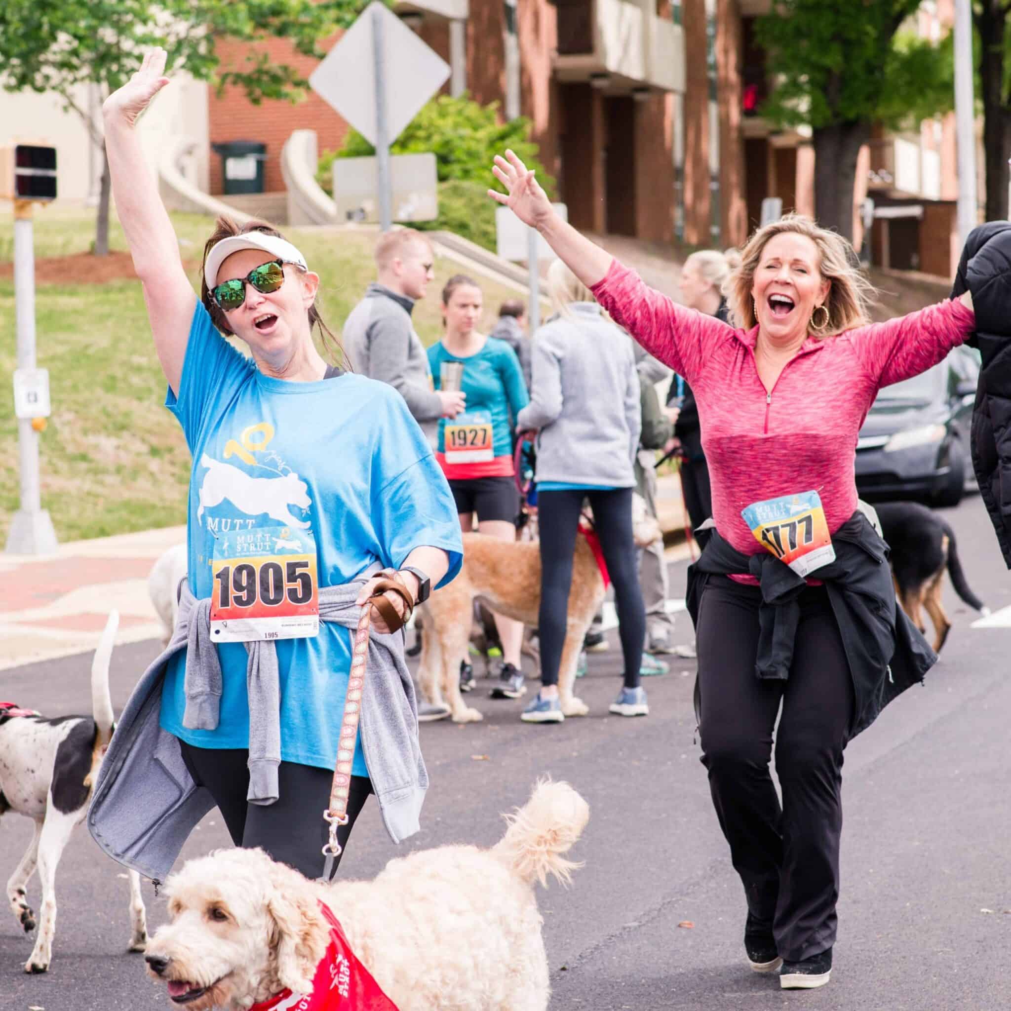Hand in Paw volunteers and their dogs participate enthusiastically in a community charity race.