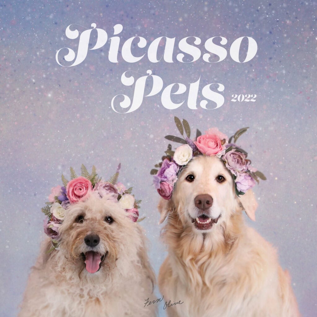 Picasso Pets 2022 event graphic featuring two dogs wearing colorful flower crowns.