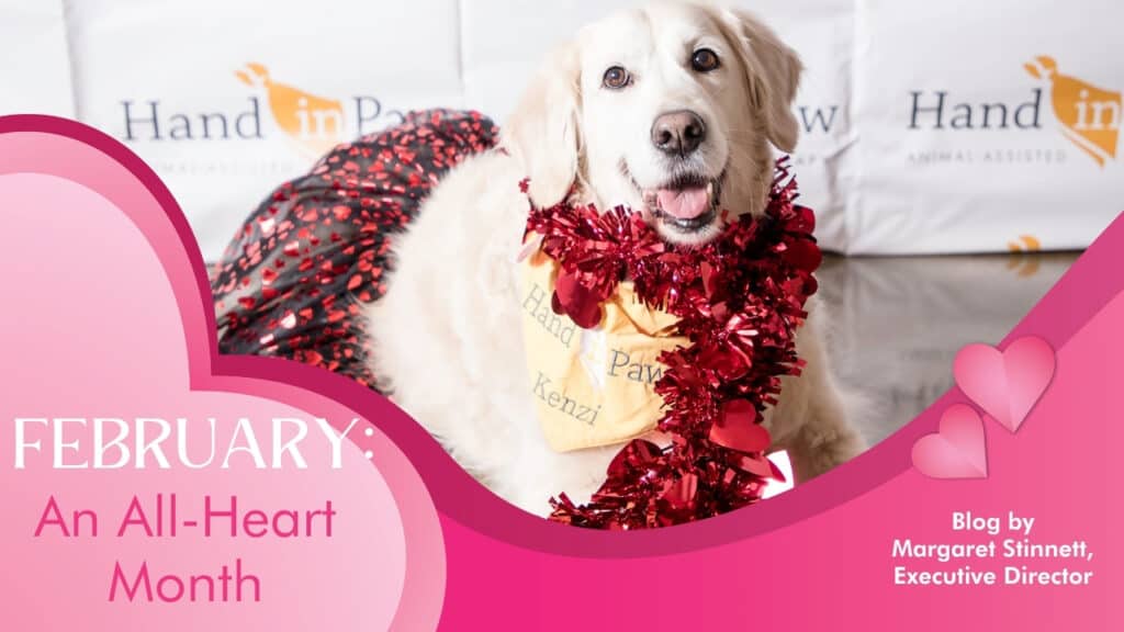 Hand in Paw dog featured in a February “An All-Heart Month” blog graphic.