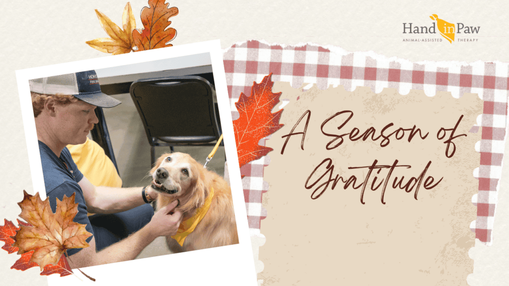 Hand in Paw seasonal graphic showing a volunteer caring for a therapy dog beside the message “A Season of Gratitude.”