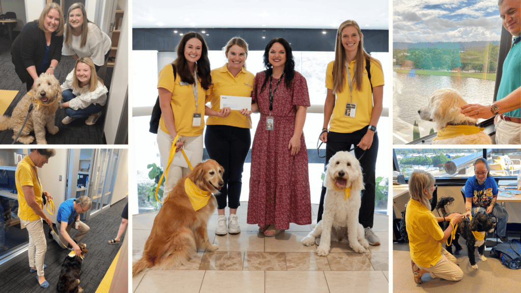 Hand in Paw volunteer Therapy Teams and dogs providing animal-assisted support in care and community settings.
