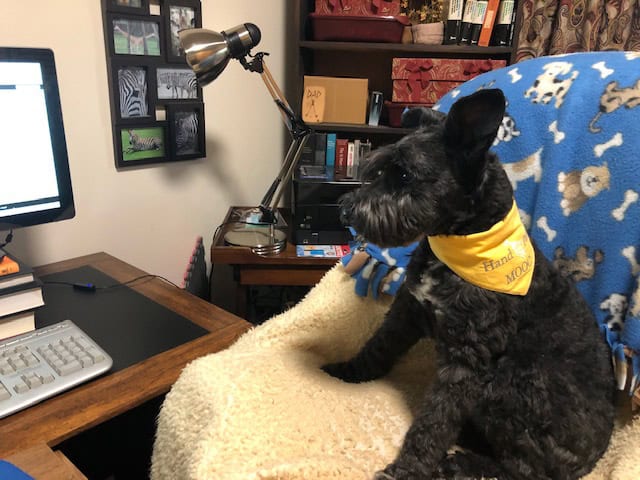 Mooc Ready to Visit