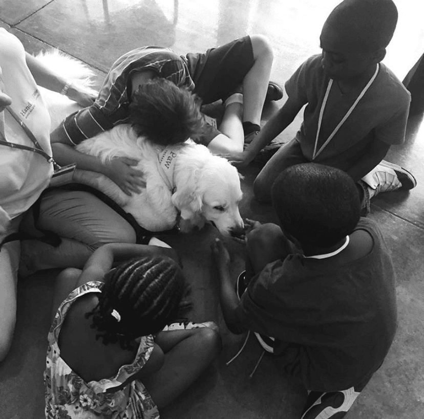 Oak tree ministries_pawsitive living 2019