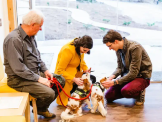 Ribbon Cutting 2019 A photo of Brittany and Cooper Filby and a volunteer with two spaniels at the ribbon cutting of Hand in Paw's new office in 2019.