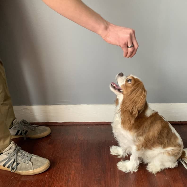 Sit