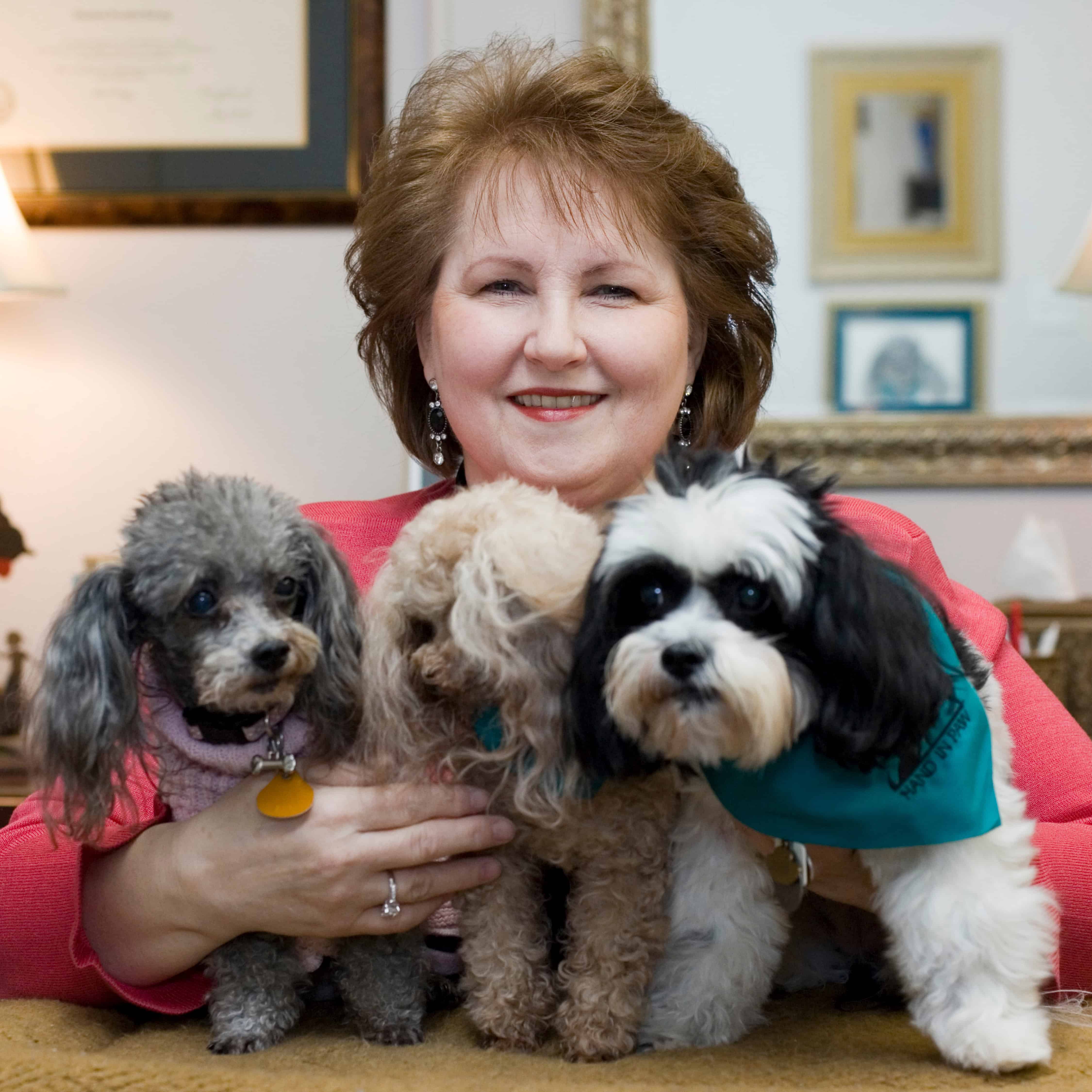 Hand in Paw volunteer with three therapy dogs supporting animal assisted therapy