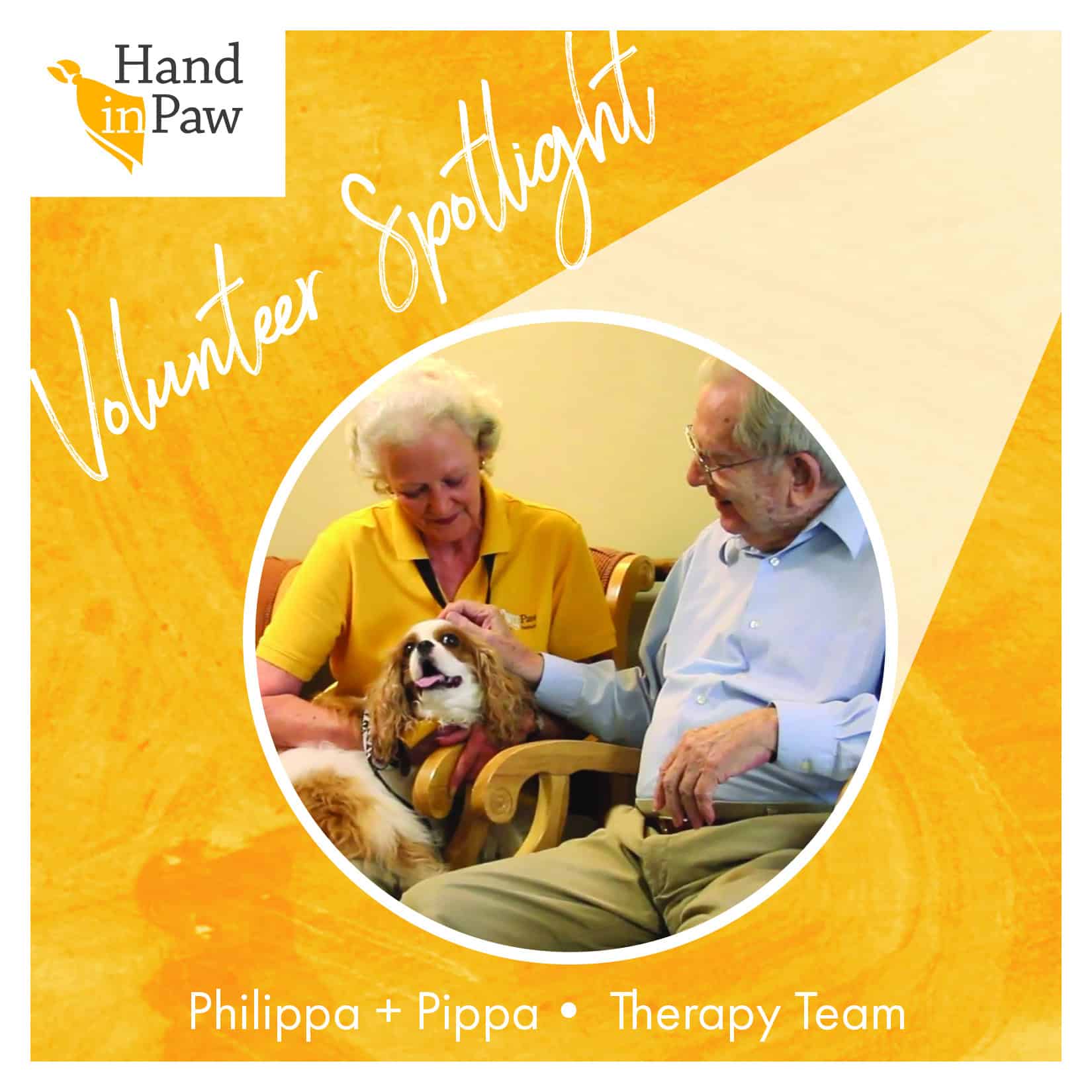 Volunteer spotlight featuring Philippa and Pippa, a Hand in Paw Therapy Team visiting with an older adult