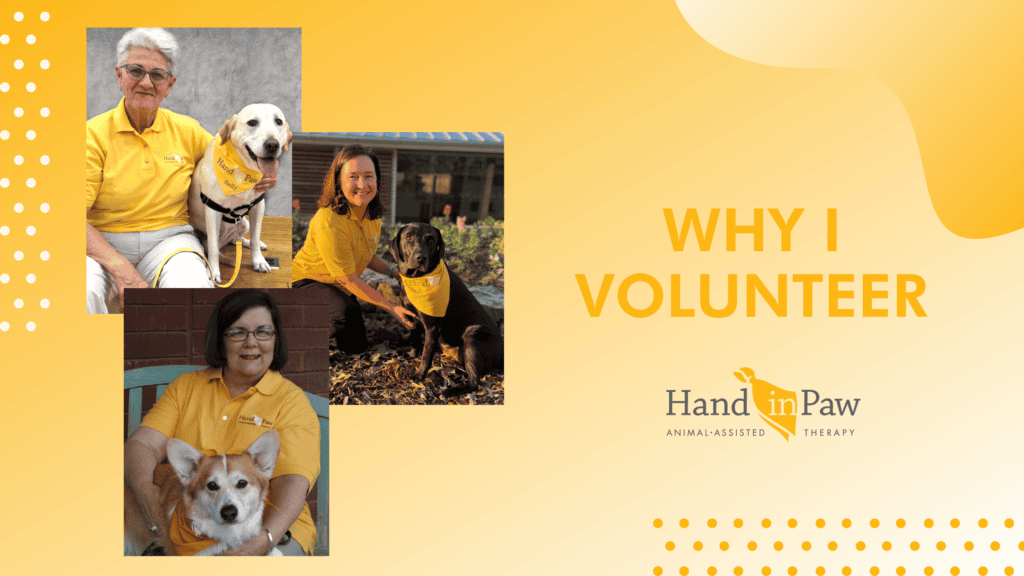 “Why I Volunteer” collage featuring Hand in Paw volunteers with therapy dogs