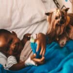 Child receiving comfort from a therapy dog and handler in a care setting